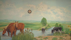 Horses & Cows