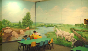 Sheep & Pigs