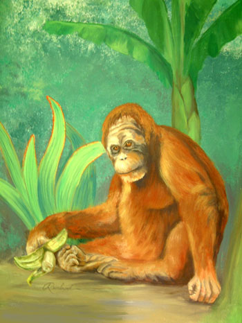 Orang with Banana